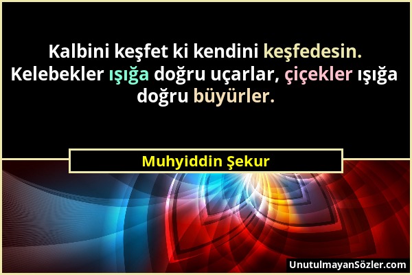 Muhyiddin Şekur - Kalbini keşfet ki kendini keşfedesin. Kelebekler ışığa doğru uçarlar, çiçekler ışığa doğru büyürler....