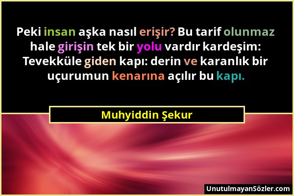 Muhyiddin Şekur - Peki insan aşka nasıl erişir? Bu tarif olunmaz hale girişin tek bir yolu vardır kardeşim: Tevekküle giden kapı: derin ve karanlık bi...