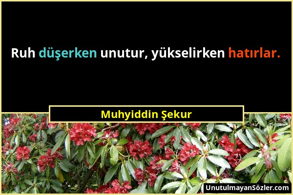 Muhyiddin Şekur - Ruh düşerken unutur, yükselirken hatırlar....