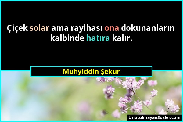 Muhyiddin Şekur - Çiçek solar ama rayihası ona dokunanların kalbinde hatıra kalır....