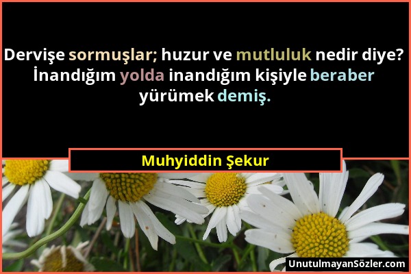 Muhyiddin Şekur - Dervişe sormuşlar; huzur ve mutluluk nedir diye? İnandığım yolda inandığım kişiyle beraber yürümek demiş....