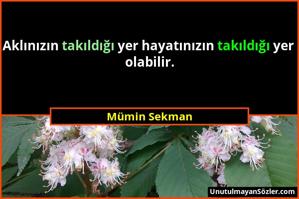 Mümin Sekman - Aklınızın takıldığı yer hayatınızın takıldığı yer olabilir....