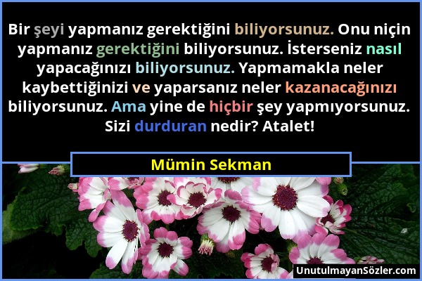 Mümin Sekman - Bir şeyi yapmanız gerektiğini biliyorsunuz. Onu niçin yapmanız gerektiğini biliyorsunuz. İsterseniz nasıl yapacağınızı biliyorsunuz. Ya...