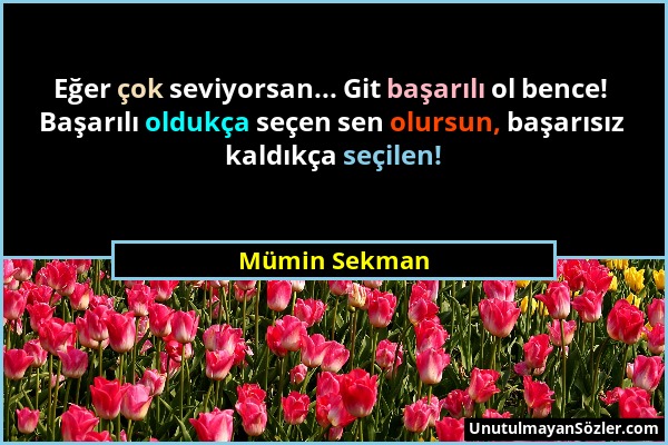 Mümin Sekman - Eğer çok seviyorsan... Git başarılı ol bence! Başarılı oldukça seçen sen olursun, başarısız kaldıkça seçilen!...