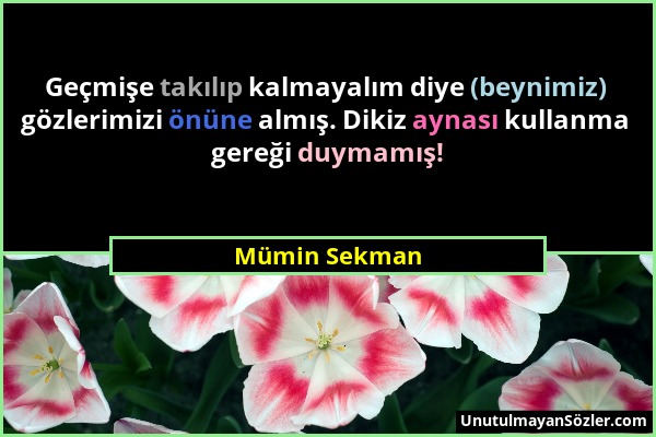 Mümin Sekman - Geçmişe takılıp kalmayalım diye (beynimiz) gözlerimizi önüne almış. Dikiz aynası kullanma gereği duymamış!...