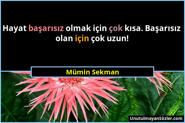 Mümin Sekman - Hayat başarısız olmak için çok kısa. Başarısız olan için çok uzun!...