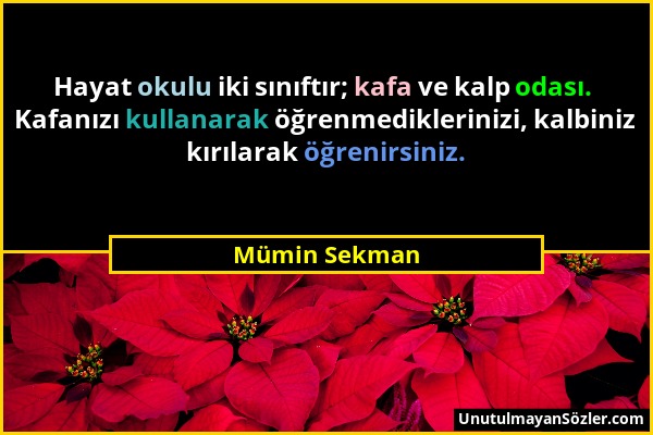 Mümin Sekman - Hayat okulu iki sınıftır; kafa ve kalp odası. Kafanızı kullanarak öğrenmediklerinizi, kalbiniz kırılarak öğrenirsiniz....