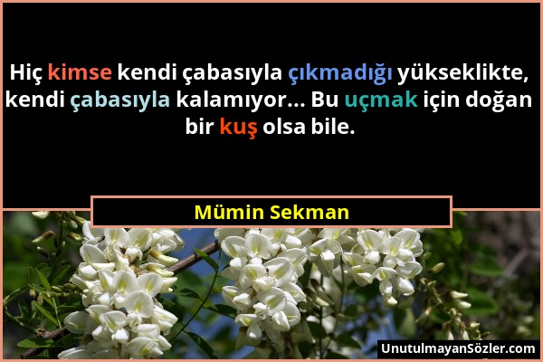 Mümin Sekman - Hiç kimse kendi çabasıyla çıkmadığı yükseklikte, kendi çabasıyla kalamıyor... Bu uçmak için doğan bir kuş olsa bile....