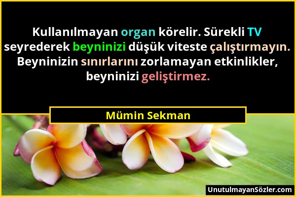 Mümin Sekman - Kullanılmayan organ körelir. Sürekli TV seyrederek beyninizi düşük viteste çalıştırmayın. Beyninizin sınırlarını zorlamayan etkinlikler...