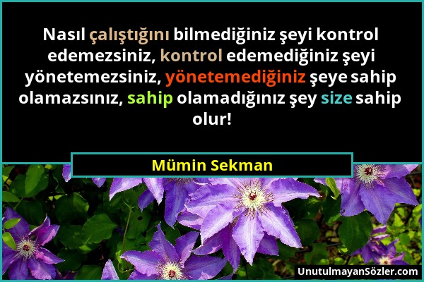 Mümin Sekman - Nasıl çalıştığını bilmediğiniz şeyi kontrol edemezsiniz, kontrol edemediğiniz şeyi yönetemezsiniz, yönetemediğiniz şeye sahip olamazsın...