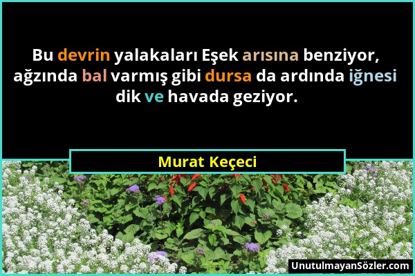 Murat Keçeci - Bu devrin yalakaları Eşek arısına benziyor, ağzında bal varmış gibi dursa da ardında iğnesi dik ve havada geziyor....