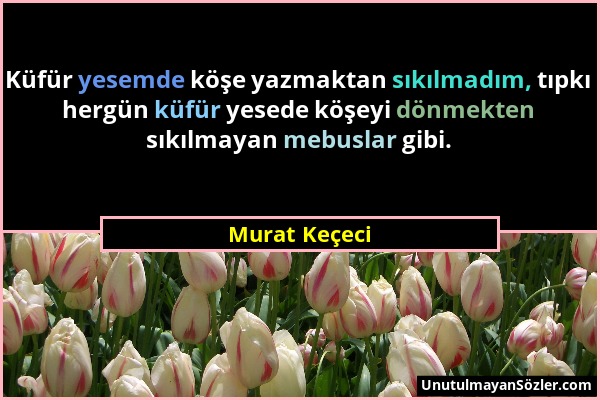 Murat Keçeci - Küfür yesemde köşe yazmaktan sıkılmadım, tıpkı hergün küfür yesede köşeyi dönmekten sıkılmayan mebuslar gibi....