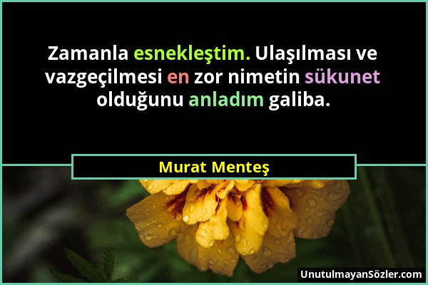 Murat Menteş - Zamanla esnekleştim. Ulaşılması ve vazgeçilmesi en zor nimetin sükunet olduğunu anladım galiba....