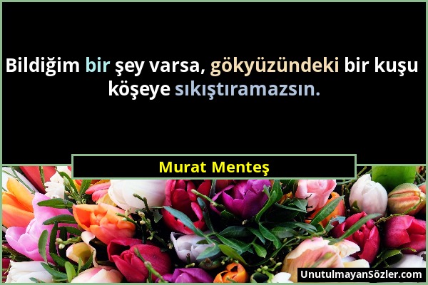 Murat Menteş - Bildiğim bir şey varsa, gökyüzündeki bir kuşu köşeye sıkıştıramazsın....