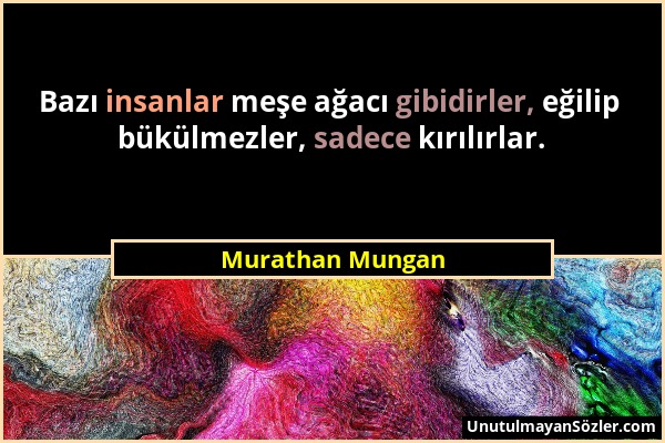 Murathan Mungan - Bazı insanlar meşe ağacı gibidirler, eğilip bükülmezler, sadece kırılırlar....