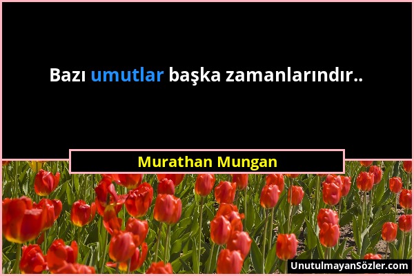 Murathan Mungan - Bazı umutlar başka zamanlarındır.....