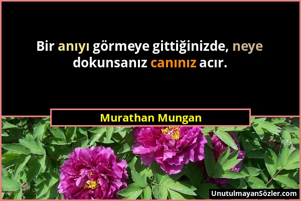 Murathan Mungan - Bir anıyı görmeye gittiğinizde, neye dokunsanız canınız acır....