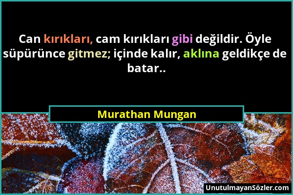 Murathan Mungan - Can kırıkları, cam kırıkları gibi değildir. Öyle süpürünce gitmez; içinde kalır, aklına geldikçe de batar.....