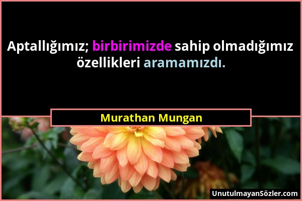 Murathan Mungan - Aptallığımız; birbirimizde sahip olmadığımız özellikleri aramamızdı....