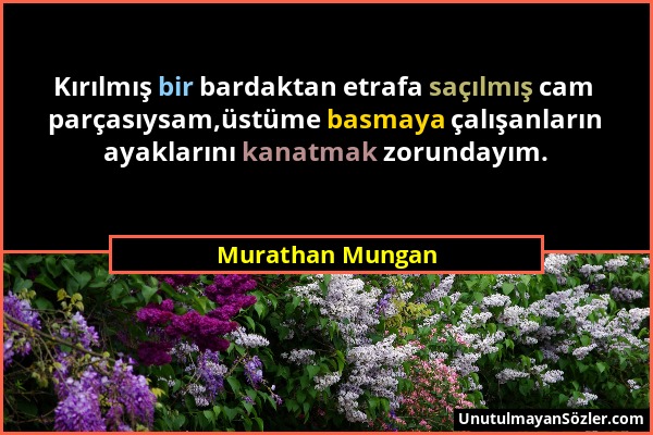 Murathan Mungan - Kırılmış bir bardaktan etrafa saçılmış cam parçasıysam,üstüme basmaya çalışanların ayaklarını kanatmak zorundayım....