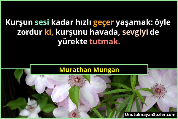 Murathan Mungan - Kurşun sesi kadar hızlı geçer yaşamak: öyle zordur ki, kurşunu havada, sevgiyi de yürekte tutmak....