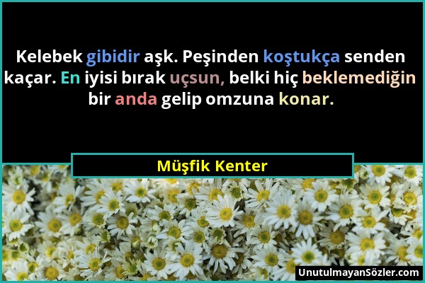 Müşfik Kenter - Kelebek gibidir aşk. Peşinden koştukça senden kaçar. En iyisi bırak uçsun, belki hiç beklemediğin bir anda gelip omzuna konar....