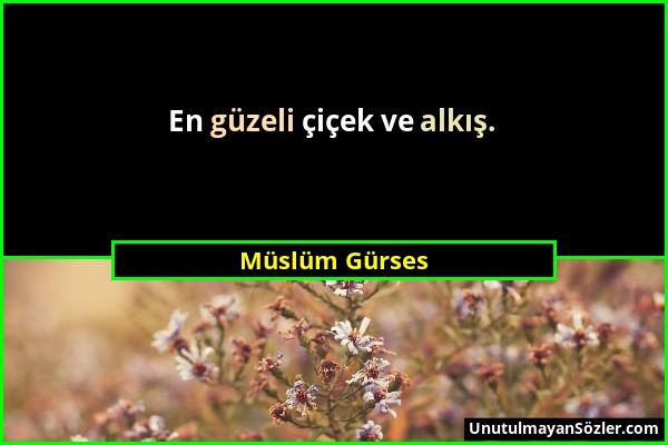 Müslüm Gürses - En güzeli çiçek ve alkış....