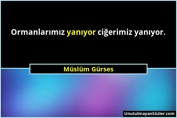 Müslüm Gürses - Ormanlarımız yanıyor ciğerimiz yanıyor....