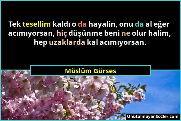 Müslüm Gürses - Tek tesellim kaldı o da hayalin, onu da al eğer acımıyorsan, hiç düşünme beni ne olur halim, hep uzaklarda kal acımıyorsan....