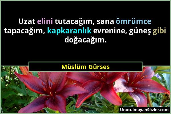 Müslüm Gürses - Uzat elini tutacağım, sana ömrümce tapacağım, kapkaranlık evrenine, güneş gibi doğacağım....