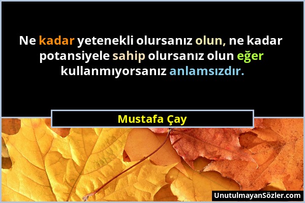 Mustafa Çay - Ne kadar yetenekli olursanız olun, ne kadar potansiyele sahip olursanız olun eğer kullanmıyorsanız anlamsızdır....