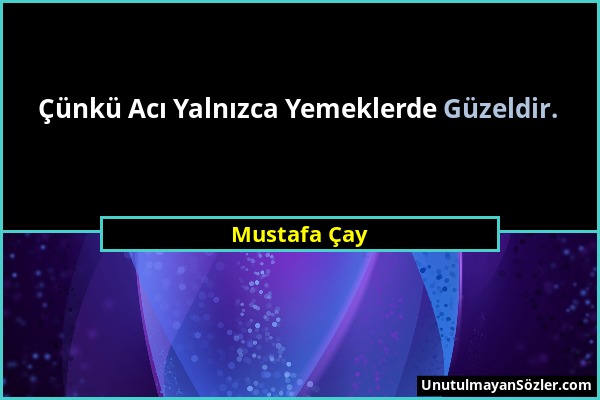 Mustafa Çay - Çünkü Acı Yalnızca Yemeklerde Güzeldir....