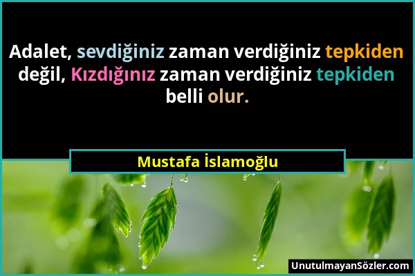 Mustafa İslamoğlu - Adalet, sevdiğiniz zaman verdiğiniz tepkiden değil, Kızdığınız zaman verdiğiniz tepkiden belli olur....