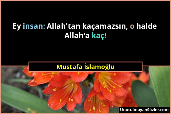 Mustafa İslamoğlu - Ey insan: Allah'tan kaçamazsın, o halde Allah'a kaç!...