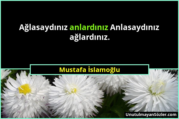 Mustafa İslamoğlu - Ağlasaydınız anlardınız Anlasaydınız ağlardınız....