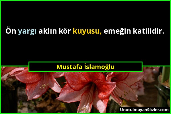 Mustafa İslamoğlu - Ön yargı aklın kör kuyusu, emeğin katilidir....