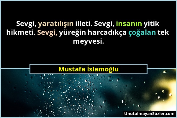 Mustafa İslamoğlu - Sevgi, yaratılışın illeti. Sevgi, insanın yitik hikmeti. Sevgi, yüreğin harcadıkça çoğalan tek meyvesi....
