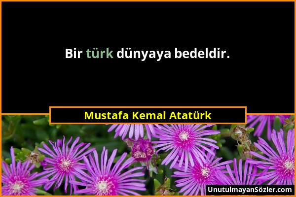 Mustafa Kemal Atatürk - Bir türk dünyaya bedeldir....
