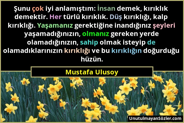 Mustafa Ulusoy - Şunu çok iyi anlamıştım: İnsan demek, kırıklık demektir. Her türlü kırıklık. Düş kırıklığı, kalp kırıklığı. Yaşamanız gerektiğine ina...