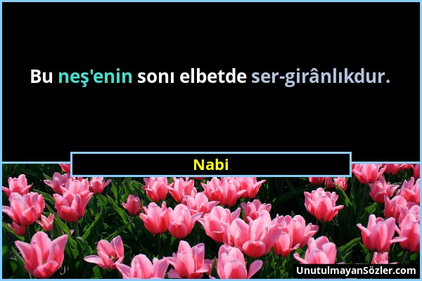 Nabi - Bu neş'enin sonı elbetde ser-girânlıkdur....