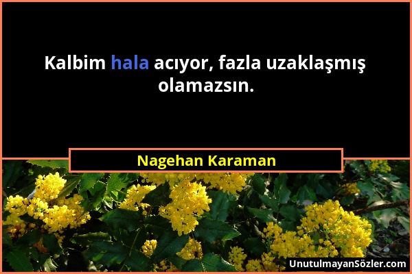 Nagehan Karaman - Kalbim hala acıyor, fazla uzaklaşmış olamazsın....