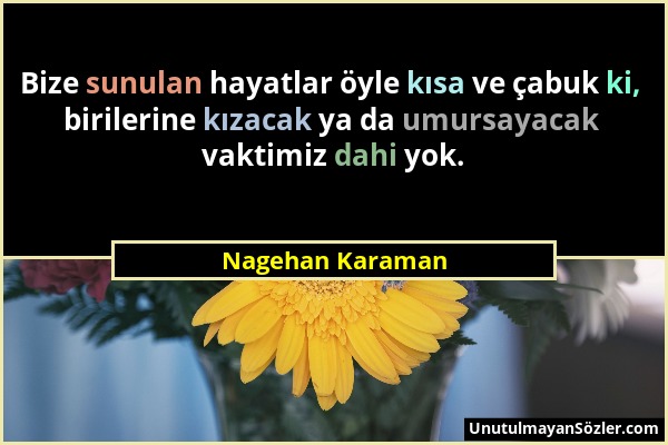 Nagehan Karaman - Bize sunulan hayatlar öyle kısa ve çabuk ki, birilerine kızacak ya da umursayacak vaktimiz dahi yok....