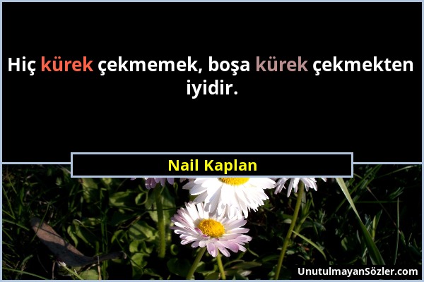 Nail Kaplan - Hiç kürek çekmemek, boşa kürek çekmekten iyidir....