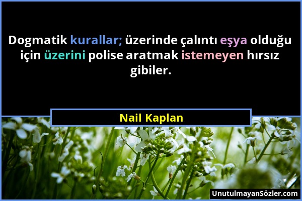 Nail Kaplan - Dogmatik kurallar; üzerinde çalıntı eşya olduğu için üzerini polise aratmak istemeyen hırsız gibiler....