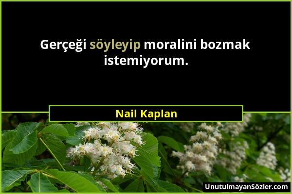 Nail Kaplan - Gerçeği söyleyip moralini bozmak istemiyorum....