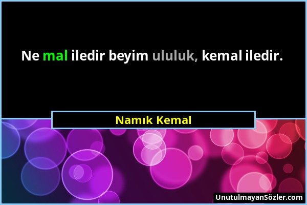 Namık Kemal - Ne mal iledir beyim ululuk, kemal iledir....