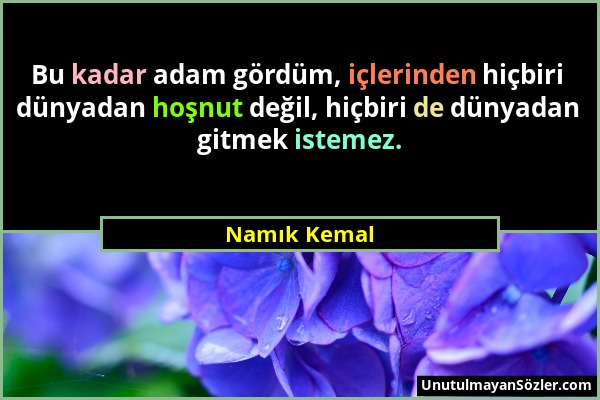 Namık Kemal - Bu kadar adam gördüm, içlerinden hiçbiri dünyadan hoşnut değil, hiçbiri de dünyadan gitmek istemez....