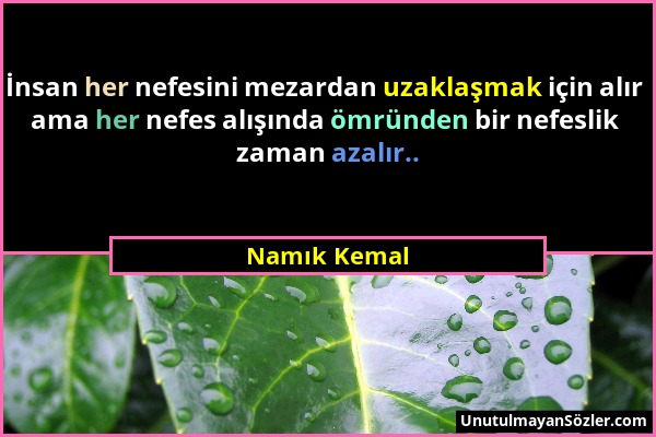 Namık Kemal - İnsan her nefesini mezardan uzaklaşmak için alır ama her nefes alışında ömründen bir nefeslik zaman azalır.....