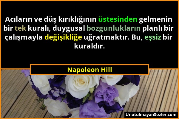 Napoleon Hill - Acıların ve düş kırıklığının üstesinden gelmenin bir tek kuralı, duygusal bozgunlukların planlı bir çalışmayla değişikliğe uğratmaktır...