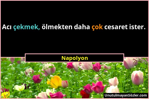 Napolyon - Acı çekmek, ölmekten daha çok cesaret ister....